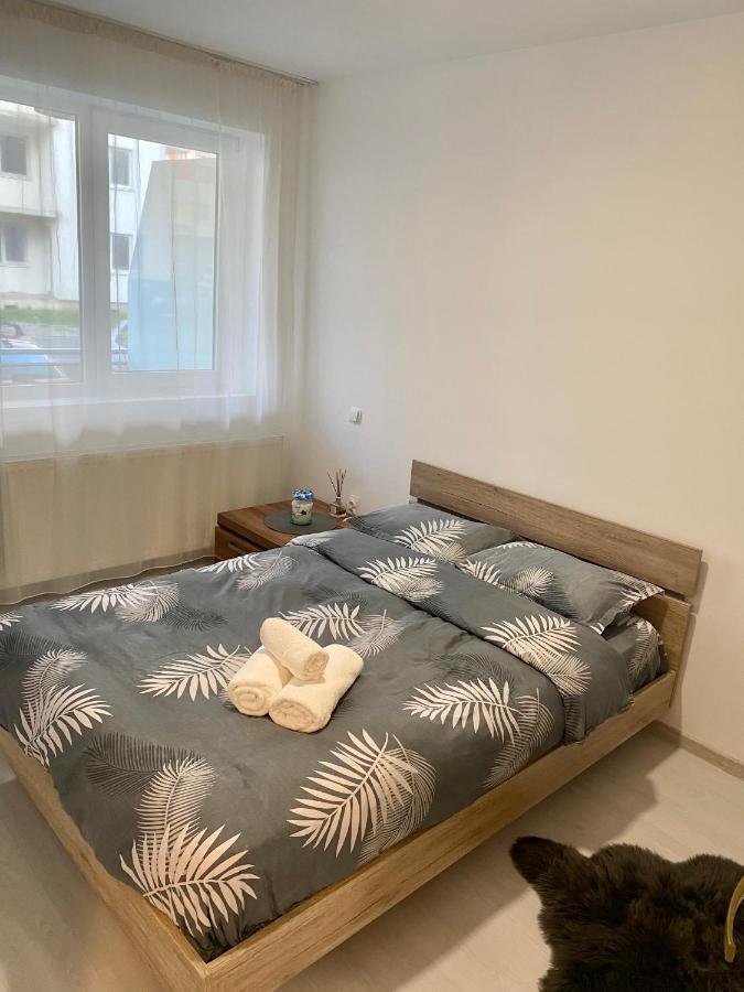 Apartament Irina บราชอฟ ภายนอก รูปภาพ